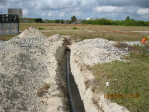IMG 0356