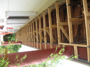 IMG 0315