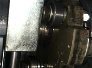 IMG 0565