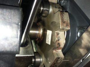 IMG 0567