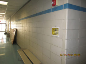 IMG 1038