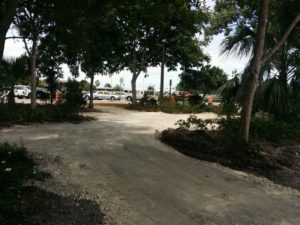 IMG 8879