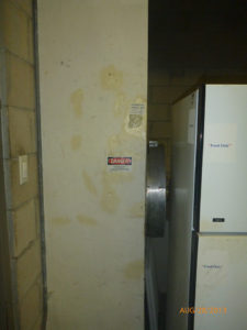 P1000812