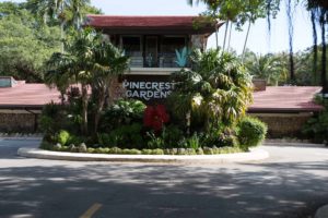 Pinecrest