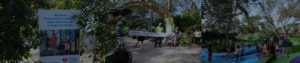 HEADER 3 scaled