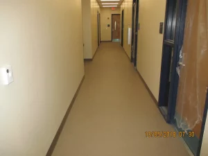 IMG 3335